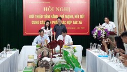 Kết nối tiêu thụ sản phẩm của HTX ở Nghệ An và Hải Dương