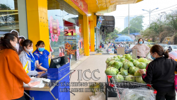 Liên minh HTX Việt Nam: Hỗ trợ tiêu thụ nông sản, thực phẩm của HTX trên địa bàn tỉnh Hải Dương