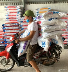 Nông dân Nghệ An tìm cách thích ứng khi thức ăn chăn nuôi tăng giá