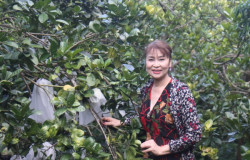 Nữ Giám đốc HTX nông nghiệp Kim Tiến Đại Phát - Người nông dân Việt Nam xuất sắc 2023
