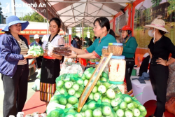 Hàng trăm đặc sản vùng miền có mặt tại Hội chợ xanh Nghệ An