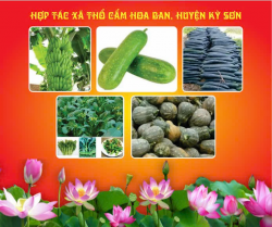 Sắp diễn ra Hội chợ Xanh khu vực kinh tế tập thể, HTX tại TP Vinh