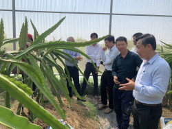 NÂNG CAO NĂNG LỰC CHUYỂN ĐỔI SỐ CHO THÀNH VIÊN HỢP TÁC XÃ