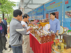 Liên hiệp hợp tác xã có bao nhiêu thành viên chính thức? Quyền và nghĩa vụ của thành viên chính thức liên hiệp hợp tác xã là gì?