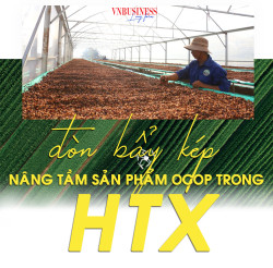 'Đòn bẩy kép' nâng tầm sản phẩm OCOP trong khu vực HTX