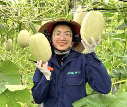 TÍN HIỆU VUI CHO PHÁT TRIỂN KINH TẾ TẬP THỂ, HỢP TÁC XÃ GIAI ĐOẠN MỚI