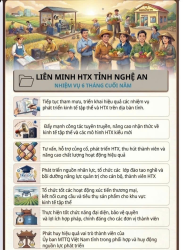 Những nhiệm vụ trọng tâm của Liên minh HTX tỉnh 6 tháng cuối năm 2026