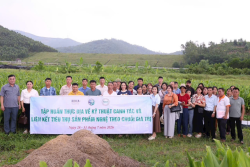 Đoàn công tác của Trung tâm Khuyến nông tỉnh Thái Nguyên tham quan và tổ chức tập huấn thực địa về kỹ thuật canh tác và liên kết tiêu thụ sản phẩm nghệ theo chuỗi giá trị tại một số HTX Nghệ An
