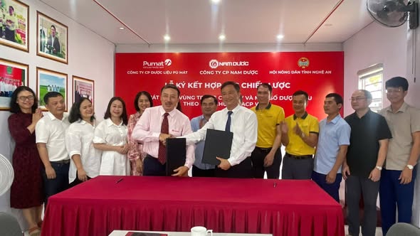 Công ty CP Dược liệu Pù Mát và Công ty CP Nam Dược ký hợp đồng hợp tác chiến lược phát triển vùng trồng nguyên liệu chè dây theo tiêu chuẩn GACP-WHO