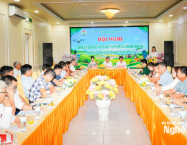 HN chuyển đổi số 2026