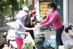Hà Nội: Khu vực kinh tế hợp tác xã kết nối để tiêu thụ nông sản