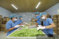 Hà Nội: Ông nông dân 'phù phép' rau, củ quả thành ống hút có thể ăn được, dân Hàn Quốc, Đức mê tít