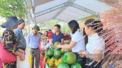 Hơn 200 sản phẩm OCOP các tỉnh Bắc Trung Bộ quy tụ tại Hà Tĩnh
