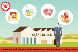 9 chính sách hỗ trợ phát triển hợp tác xã có hiệu lực từ đầu tháng 11/2024