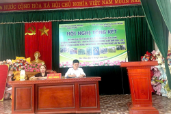 Mô hình liên kết trồng sản phẩm ớt cay xuất khẩu hiệu quả tại HTX dịch vụ nông nghiệp Diễn Phong