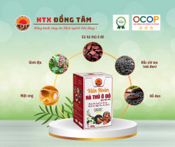 Viên hoàn Hà thủ ô đỏ (HTX Đồng Tâm)