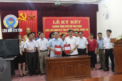 Phát huy công tác tuyên truyền trong thực hiện các chỉ tiêu Đại hội V Liên minh HTX tỉnh Nghệ An