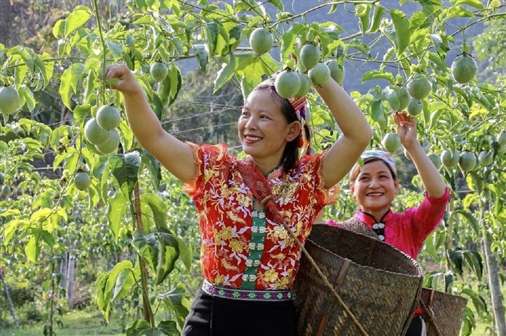 Những hợp tác xã ăn nên làm ra ở vùng sâu Nghệ An