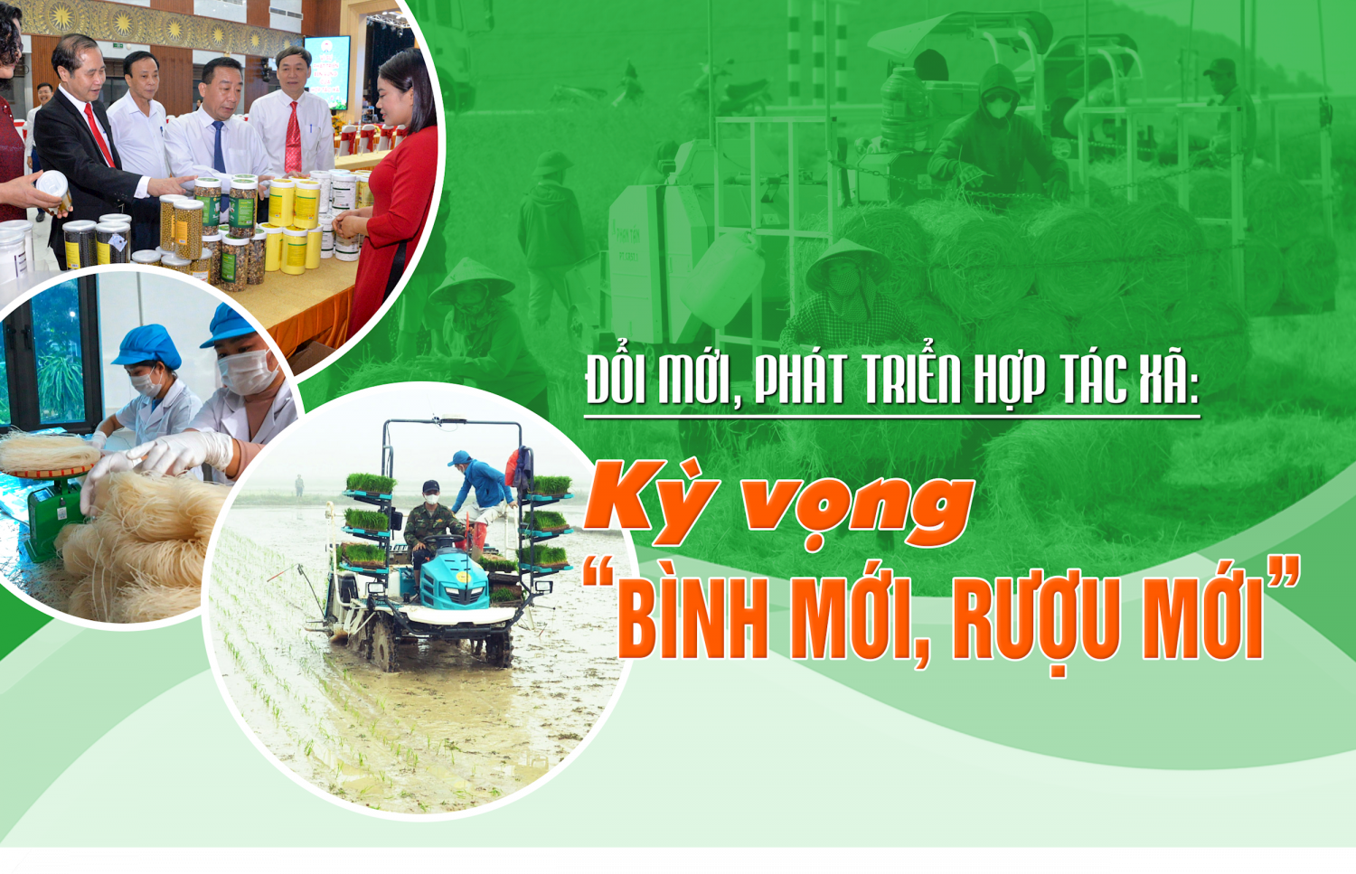 Bài 4: Sớm tháo gỡ 'rào cản' về vốn, mặt bằng kinh doanh (Chuyên đề: Đổi mới, phát triển hợp tác xã: Kỳ vọng “Bình mới, rượu mới”)