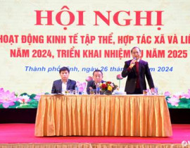 HN tổng kết 2024