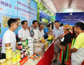 XTTM tại tỉnh Bắc Ninh 2025